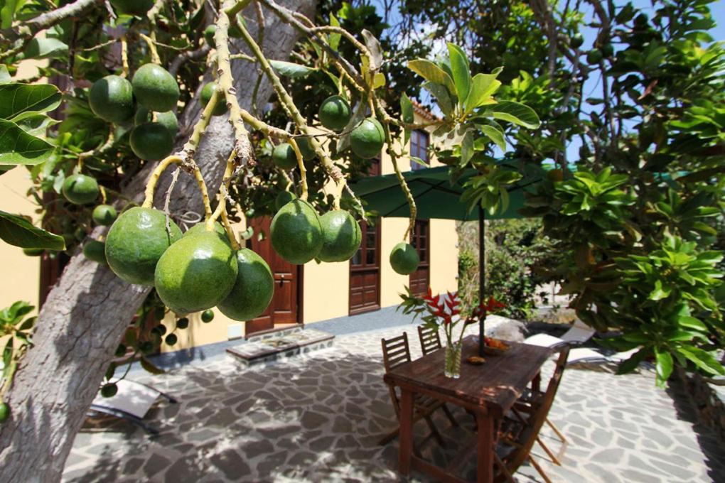 Casa Rural Los Aromos - Wunderschones Landhaus Mit Meerblick 埃尔米瓜 外观 照片